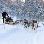 Virpi Kotimajoitukset *