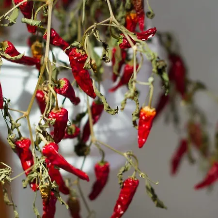 Privatunterkunft Virpi Rovaniemi