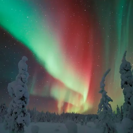 Virpi בית אירוח