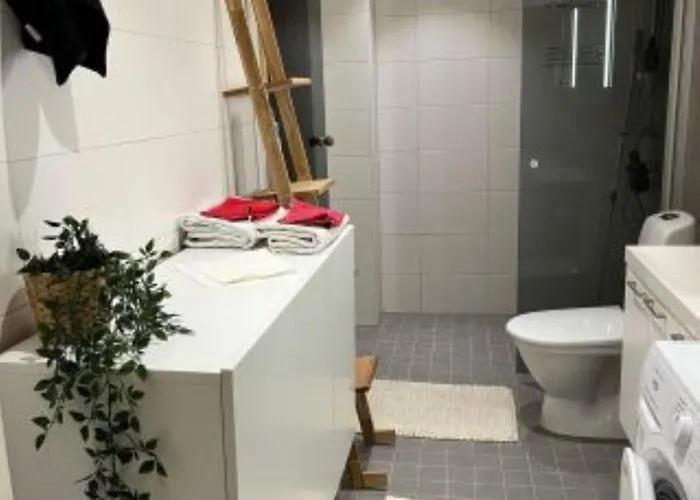 ヴィルピ ロヴァニエミ