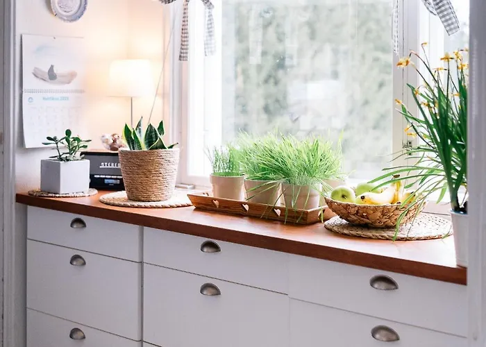 ホームステイ ヴィルピ