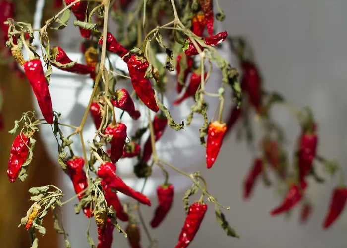 ホームステイ ヴィルピ ロヴァニエミ